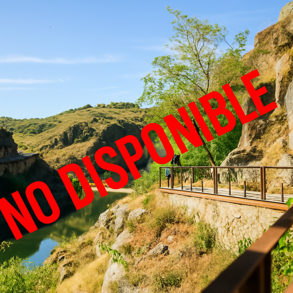 ChatGPT Image 26 nov 2025, 03_24_29 p.m.