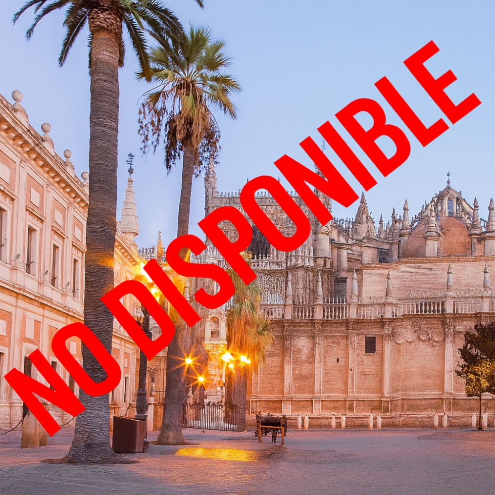 SEVILLA NO DISPONIBLE